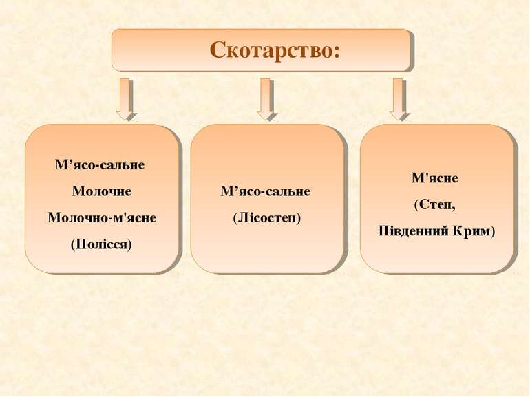 Скотарство: М’ясо-сальне Молочне Молочно-м'ясне (Полісся) М’ясо-сальне (Лісос...