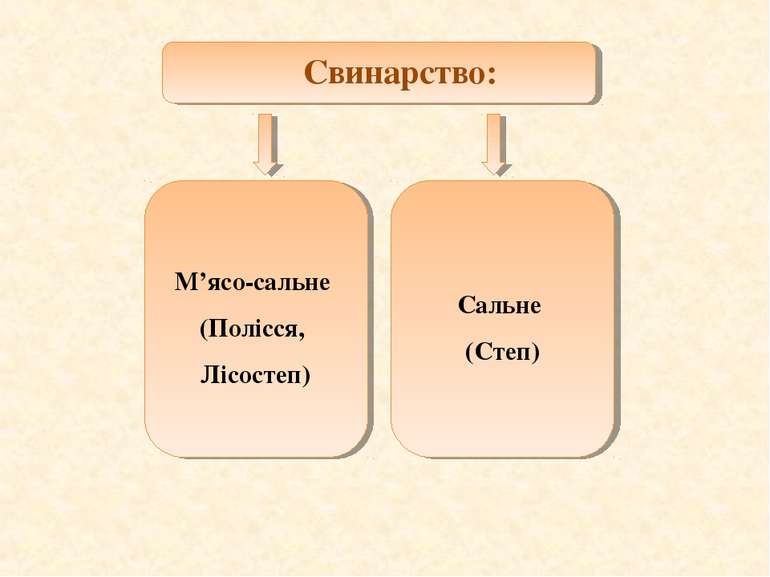 Свинарство: М’ясо-сальне (Полісся, Лісостеп) Сальне (Степ)