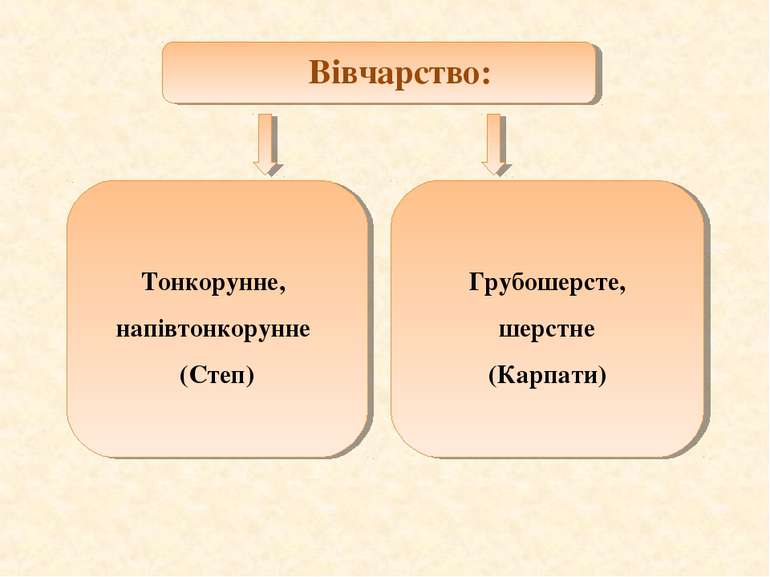 Вівчарство: Тонкорунне, напівтонкорунне (Степ) Грубошерсте, шерстне (Карпати)