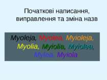 Початкові написання, виправлення та зміна назв Myoleja, Myolea, Myioleja, Myo...