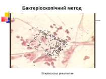 Бактеріоскопічний метод Streptococcus pneumoniae