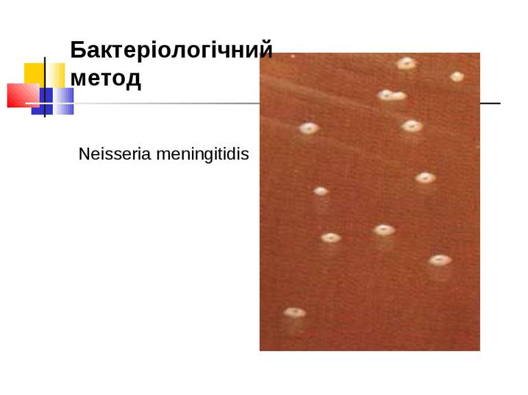 Neisseria meningitidis Бактеріологічний метод