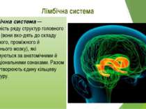 Лімбічна система Лімбічна система — сукупність ряду структур головного мозку ...