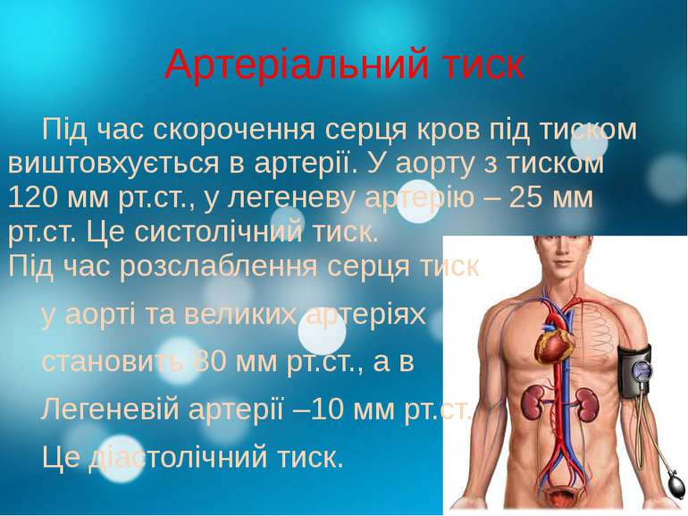 Артеріальний тиск Під час скорочення серця кров під тиском виштовхується в ар...