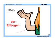 elbow der Ellbogen