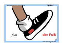 foot der FuB