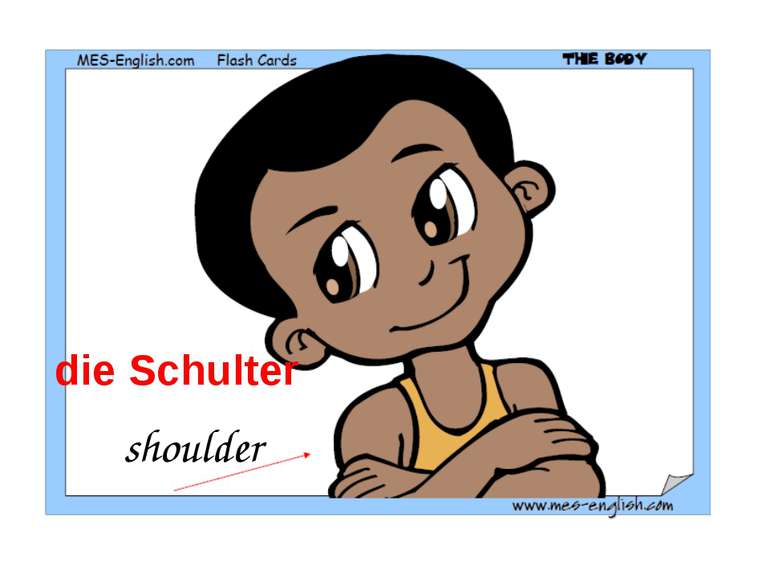 shoulder die Schulter