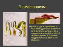 Гермафродизм Гермафродити- організми, в яких закладаються чоловічі й жіночі с...