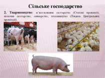 Сільське господарство 2. Тваринництво: м’ясо-вовняне скотарство (Степові пров...