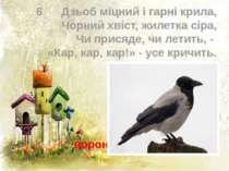 6 Дзьоб міцний і гарні крила, Чорний хвіст, жилетка сіра, Чи присяде, чи лети...