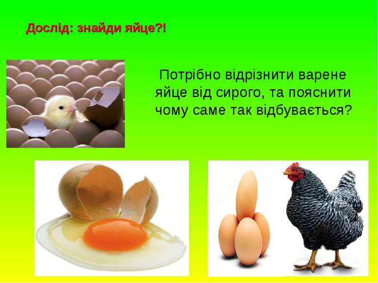 Дослід: знайди яйце?! Потрібно відрізнити варене яйце від сирого, та пояснити...