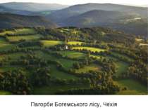 Пагорби Богемського лісу, Чехія