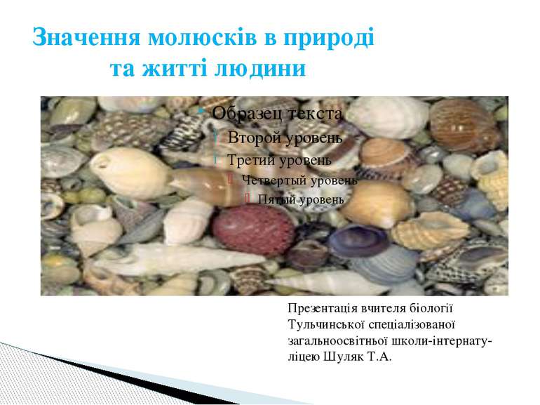 Значення молюсків в природі та житті людини Презентація вчителя біології Туль...