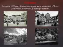 Еміграція Із грудня 1922 року Коновалець мусив жити в еміграції у Чехо-Словач...