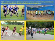 Щоб виявляти кращих фізкультурників і спортсменів в Україні розроблений кален...