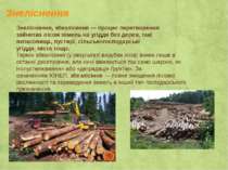Знеліснення Знеліснення, збезлісення — процес перетворення зайнятих лісом зем...