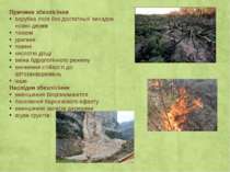 Причини збезлісіння вирубка лісів без достатньої висадки нових дерев пожежі у...