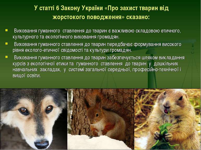 У статті 6 Закону України «Про захист тварин від жорстокого поводження» сказа...