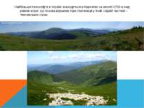 Найбільше плоскогір'я в Україні знаходиться в Карпатах на висоті 1758 м над р...