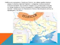 Найбільшою низовиною є Українське Полісся, що займає крайню північно-західну ...