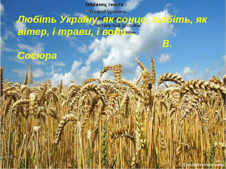 Любіть Україну, як сонце, любіть, як вітер, і трави, і води… В. Сосюра