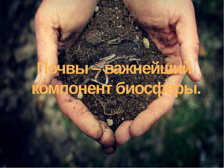 Почвы – важнейший компонент биосферы.