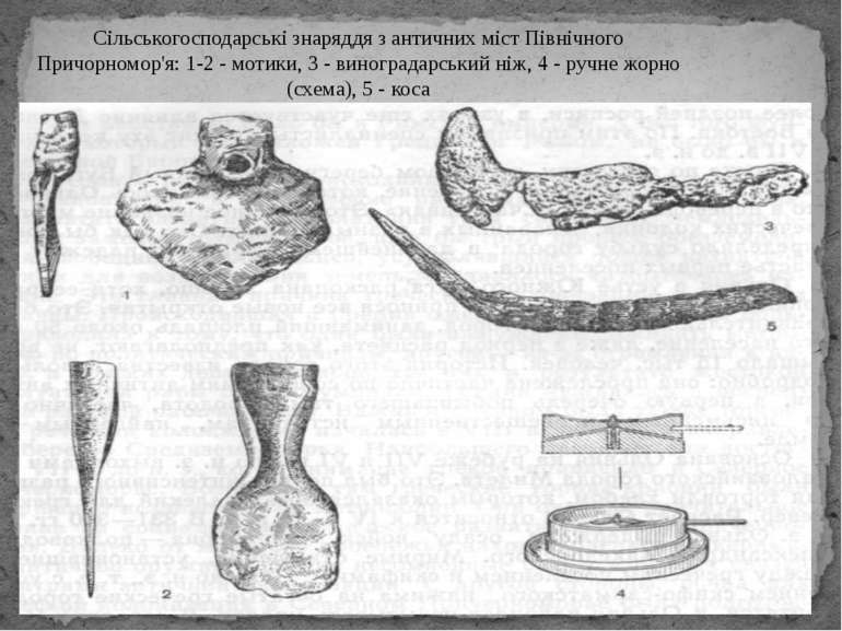 Сільськогосподарські знаряддя з античних міст Північного Причорномор'я: 1-2 -...