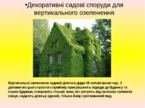 Декоративні садові споруди для вертикального озеленення Вертикальне озелененн...