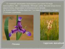 На території заповідника підтверджено зростання 160 видів мохоподібних, 188 —...