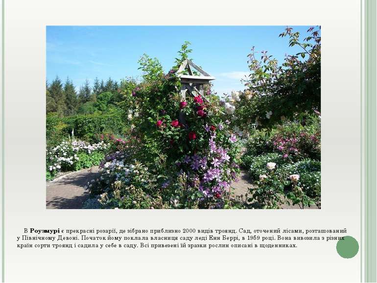 В Роузмурі є прекрасні розарії, де зібрано приблизно 2000 видів троянд. Сад, ...