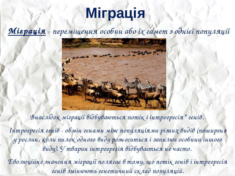 Міграція Міграція - переміщення особин або їх гамет з однієї популяції в іншу...