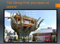 The Dining Pod: ресторан на дереві