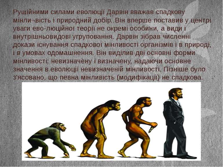 Рушійними силами еволюції Дарвін вважав спадкову мінли¬вість і природний добі...