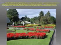 1. Королівський ботанічний сад Кью-Гарден . Визнано найкрасивішим парком Лонд...