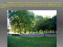5.Гайд-парк з пов'язаними з нього Кенсингтонськім садами розташовується в сам...