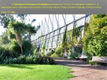 7. Королівський ботанічний сад Единбурга заснований ще в 17 столітті. Це найс...