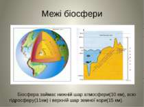 Межі біосфери Біосфера займає нижній шар атмосфери(10 км), всю гідросферу(11к...