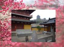 Храми Цзінхай і Тяньфей
