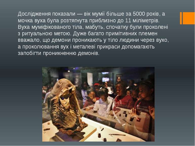Дослідження показали — вік мумії більше за 5000 років, а мочка вуха була розт...