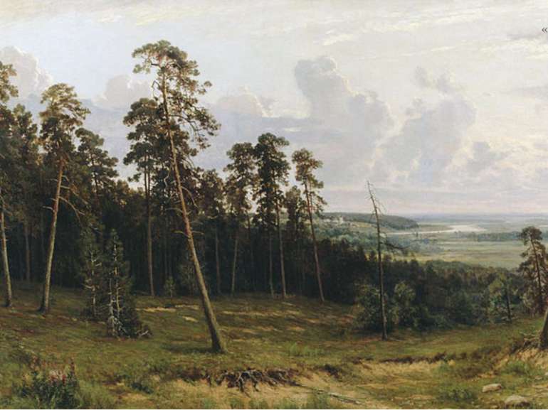 «Узлісся лісу» 1882