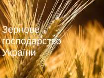 Зернове господарство України
