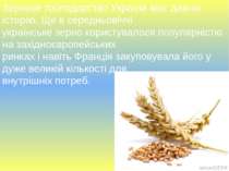 Зернове господарство України має давню історію. Ще в середньовіччі українське...