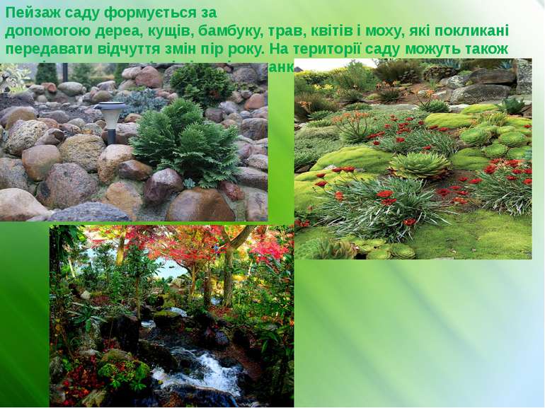 Пейзаж саду формується за допомогою дереа, кущів, бамбуку, трав, квітів і мох...