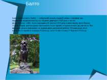 Балто Балто (Балто) (англ. Balto) — сибірський хаськи, їздовий собака з упряж...