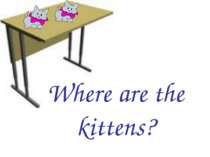 Where are the kittens?