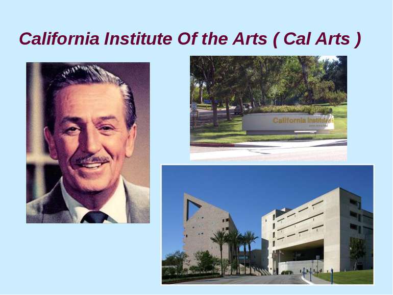 California Institute Of the Arts ( Cal Arts )