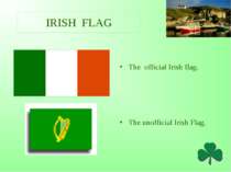 IRISH FLAG The official Irish flag. The unofficial Irish Flag.