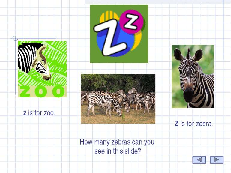 Z Z is for zebra. z is for zoo. How many zebras can you see in this slide?