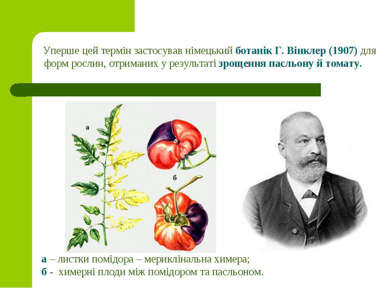 Уперше цей термін застосував німецький ботанік Г. Вінклер (1907) для форм рос...