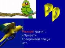 Papagei кричит: «Привет», Говорливей птицы нет.